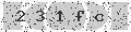 verify code