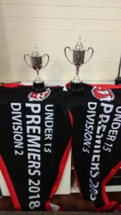 Premiership cups